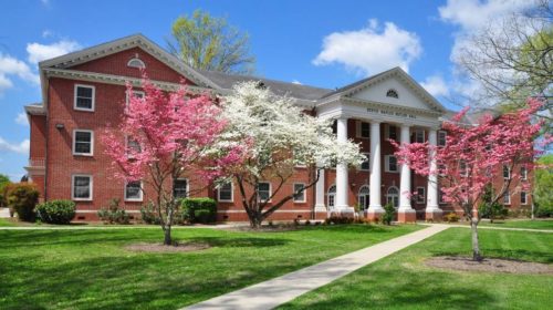 Carson-Newman University online MBA with no GMAT